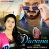 About Pagla Diwana Song